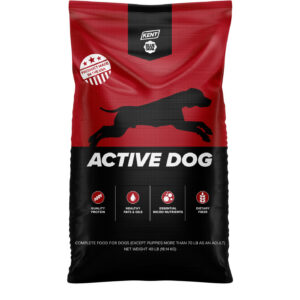 Active Dog