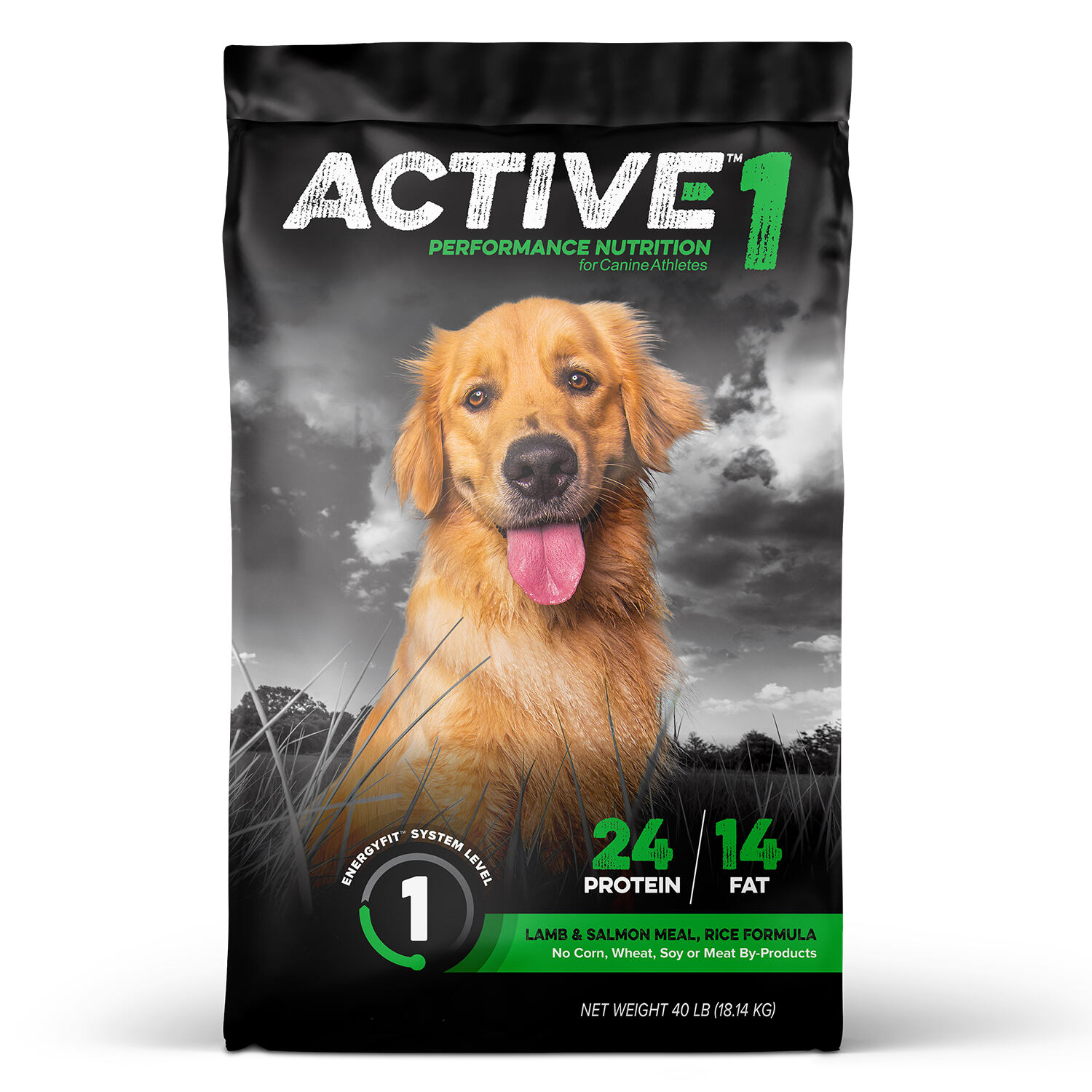 Active Level 1