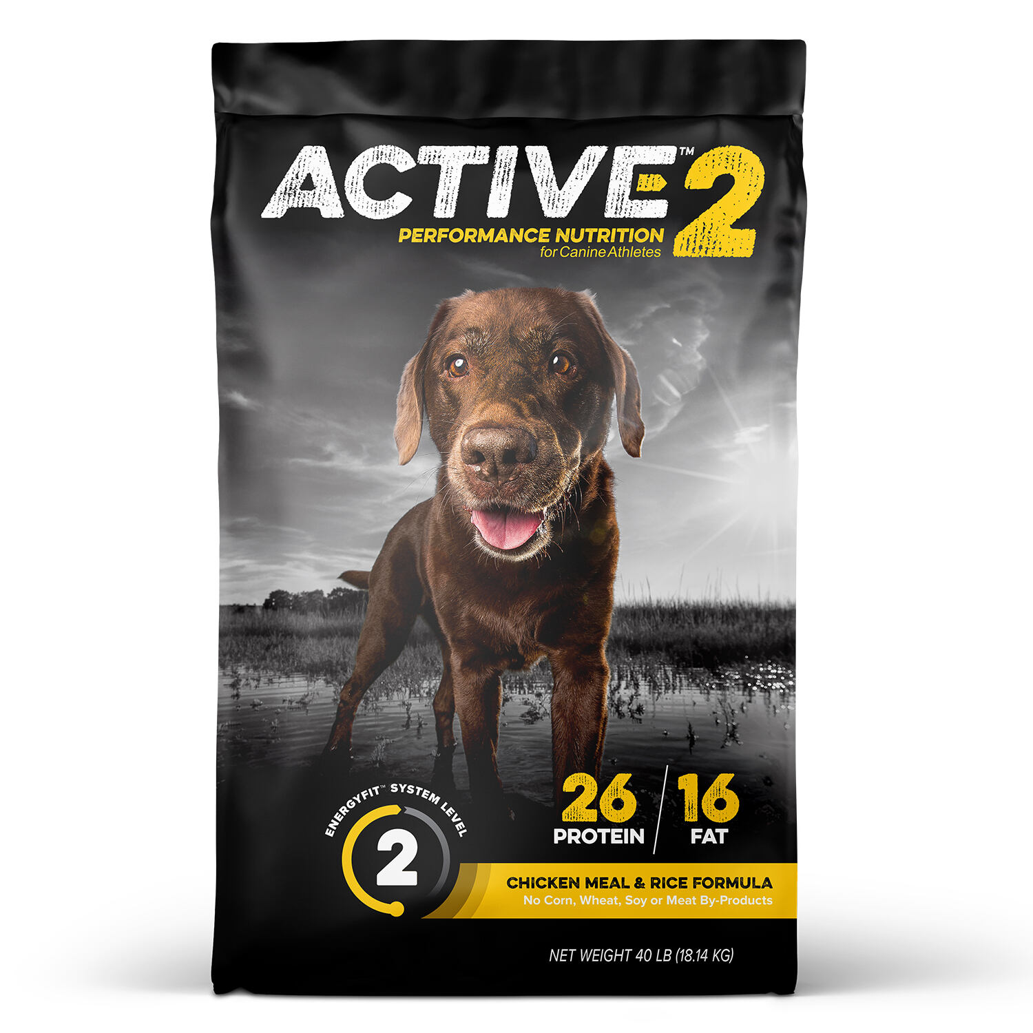 Active Level 2