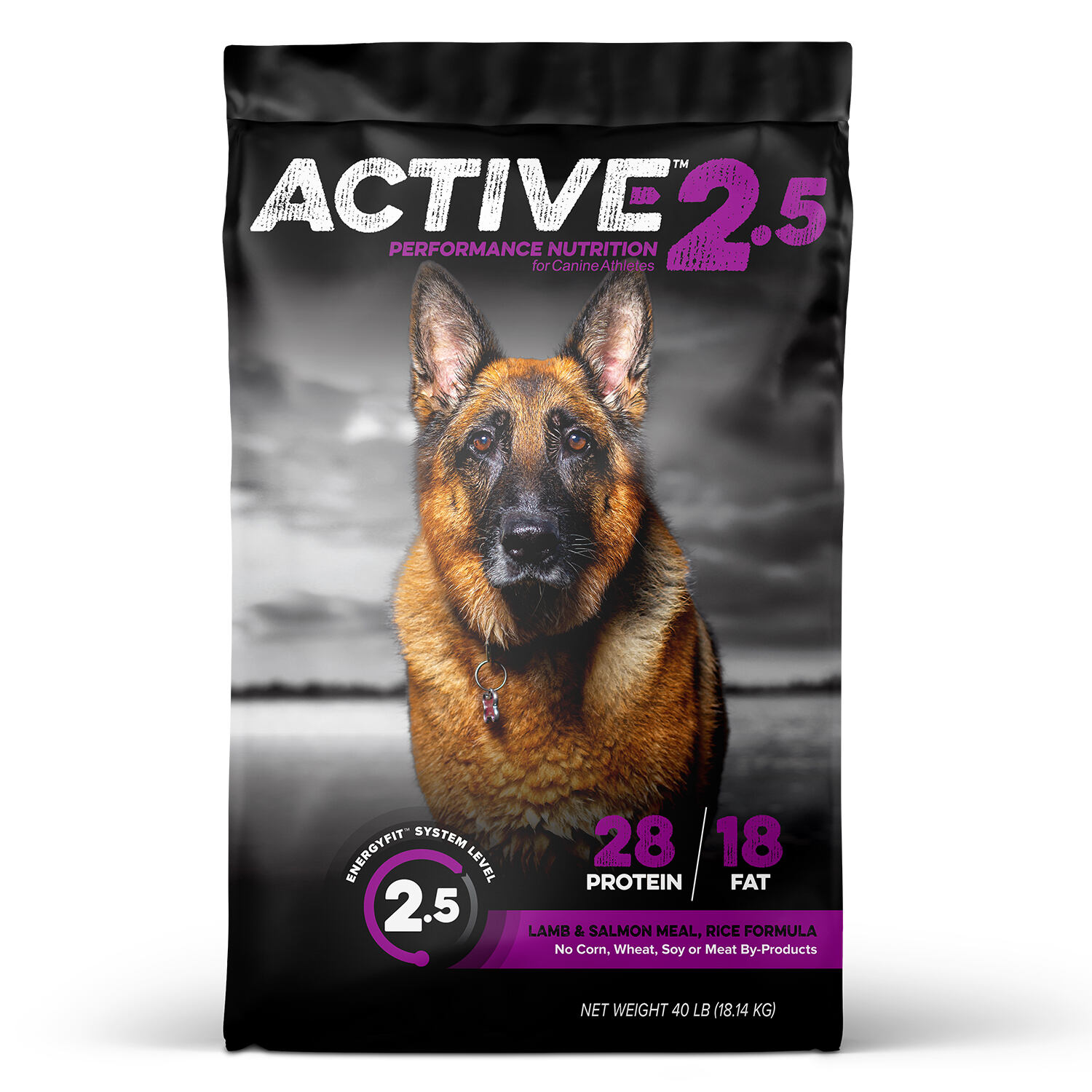 Active Level 2.5