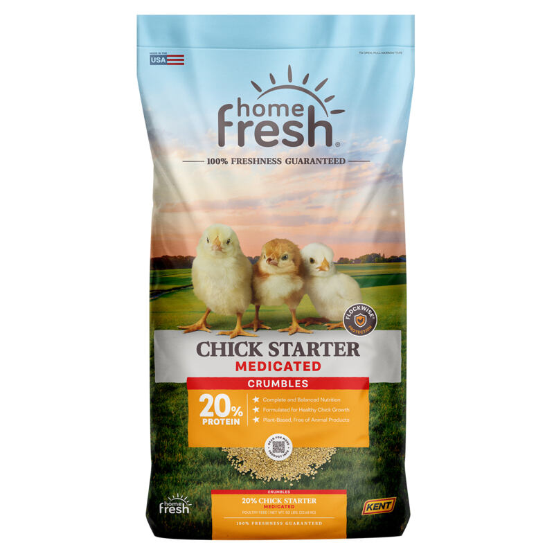 Home Fresh Chick Starter AMP