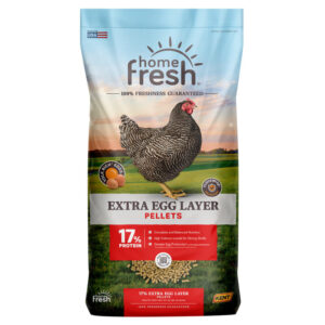 Home Fresh Extra Egg Layer