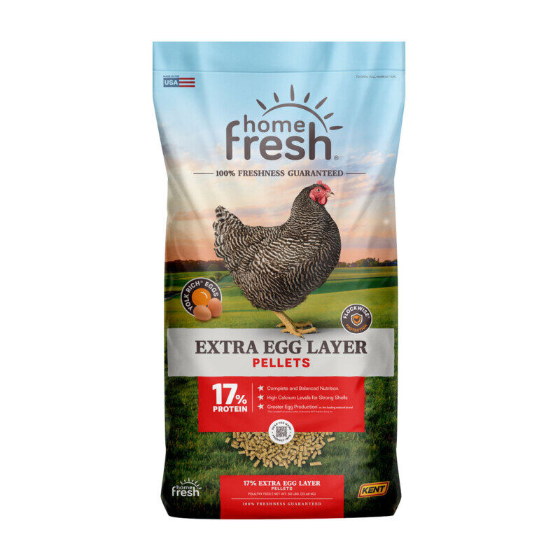 Home Fresh Extra Egg Layer