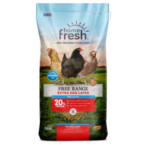 Home Fresh Extra Egg Layer Free Range