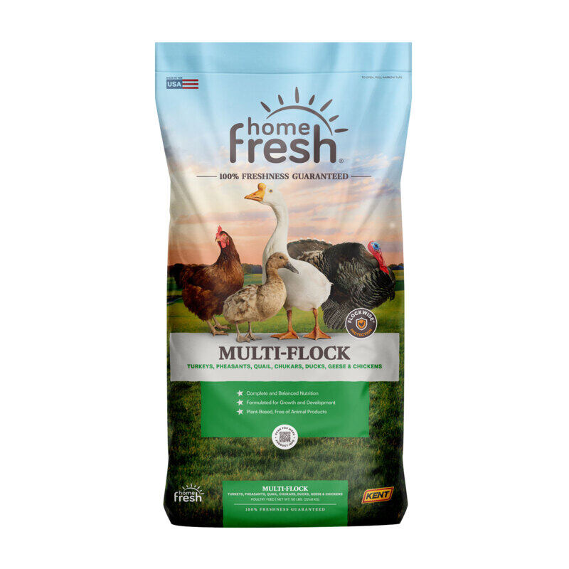 Home Fresh Multi-Flock Chick N Game Starter/Grower