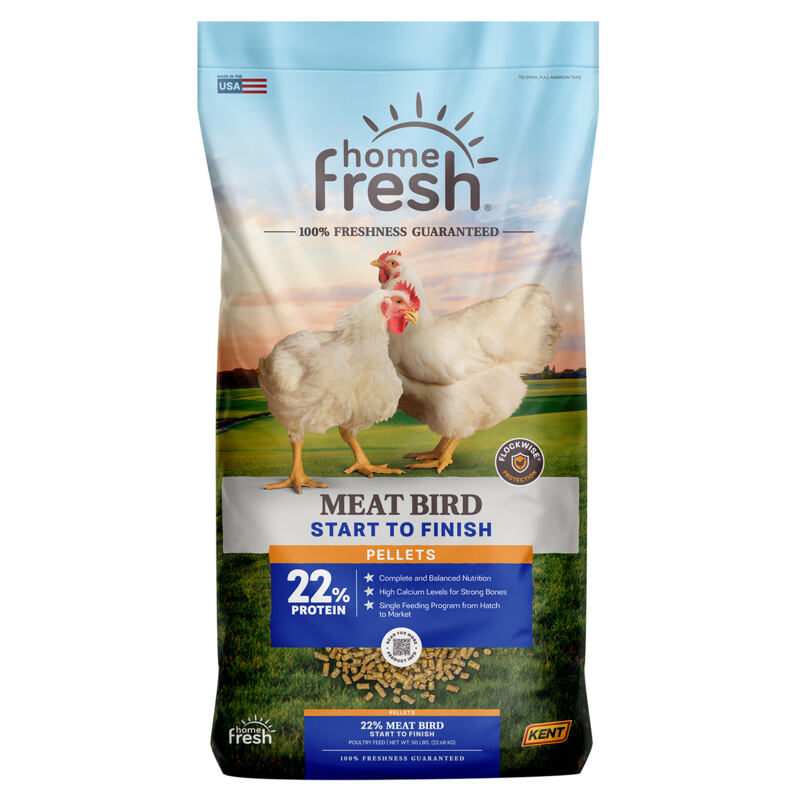 Home Fresh Meat Bird Start to Finish