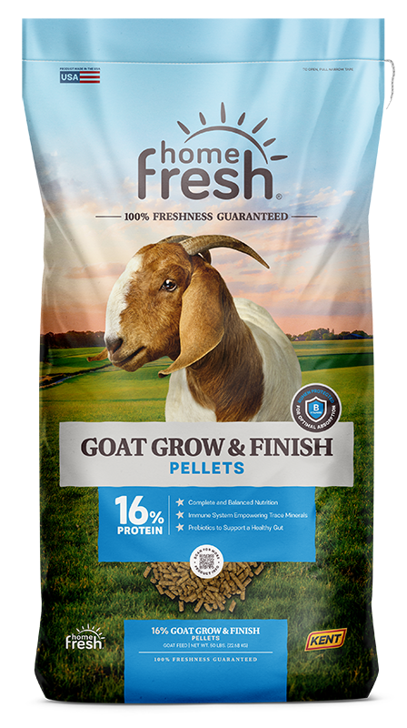 Goat Grow & Finish