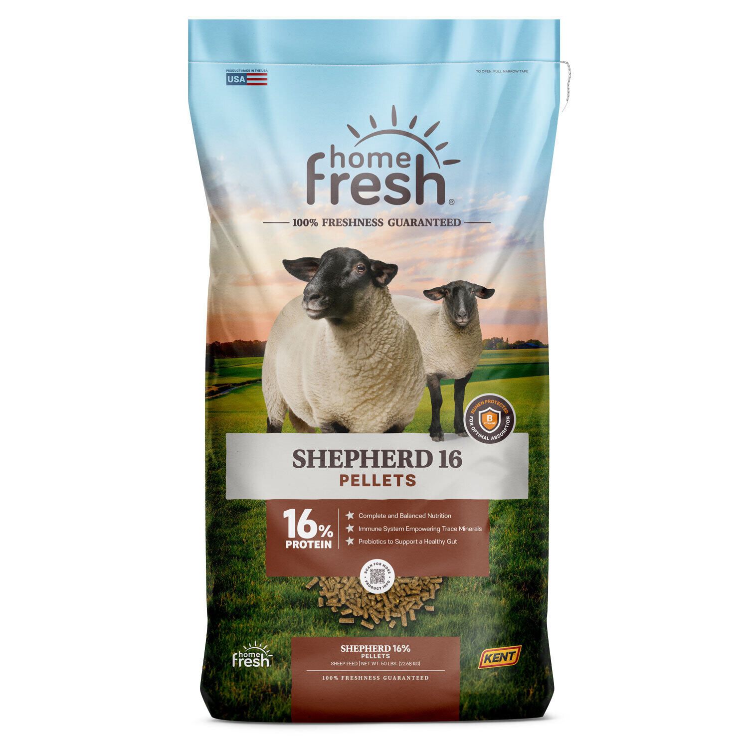 Home Fresh Shepherd 16