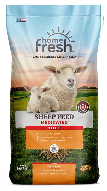 Home Fresh Sheep