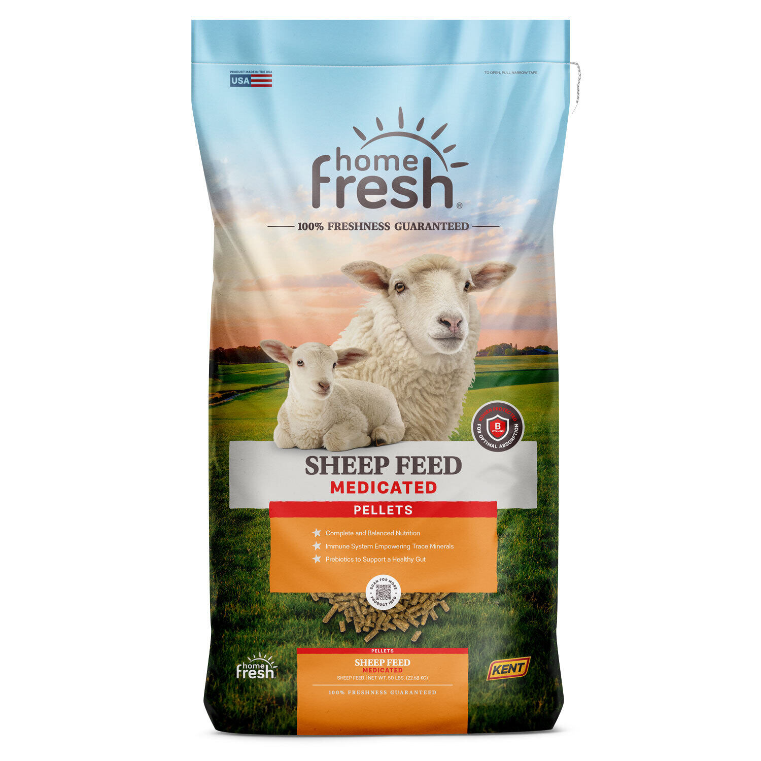 Home Fresh 20 Sheep Starter Grower 45DQ