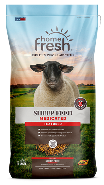 Home Fresh Sheep Feed