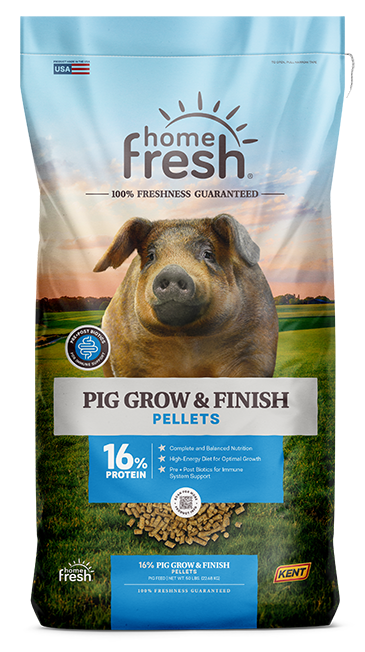 Pig Grow & Finish