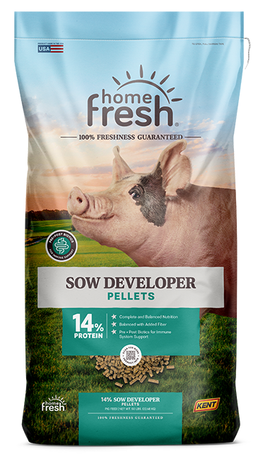 SOW DEVELOPER