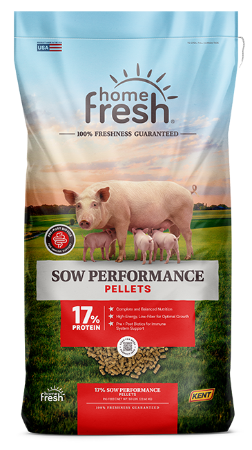 SOW PERFORMANCE