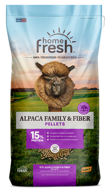 Alpaca Family & Fiber