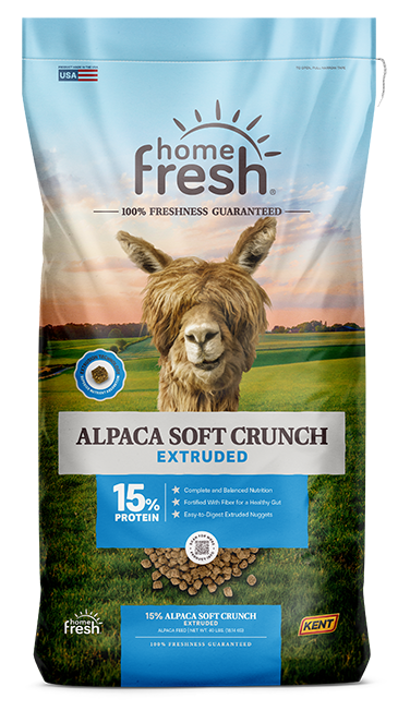 Alpaca Soft Crunch