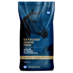 Sentinel Active Senior - Canada