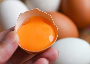 A hand holds a cracked eggshell containing a vibrant orange yolk. In the background, blurred white and brown eggs are visible, suggesting a kitchen or cooking setting. The image is focused on the rich color and texture of the raw egg yolk.