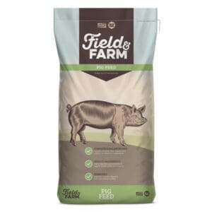 Field & Farm Adult Sow & Boar