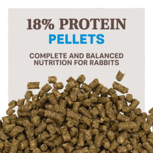 Home Fresh Top Hutch