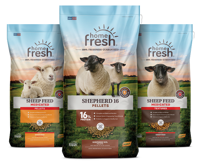 Home Fresh Sheep Lineup
