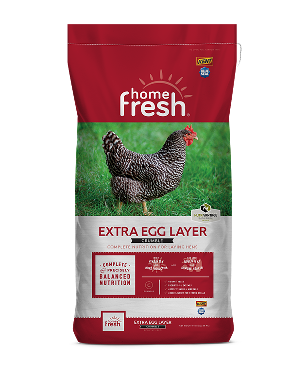 Home Fresh Extra Egg Layer
