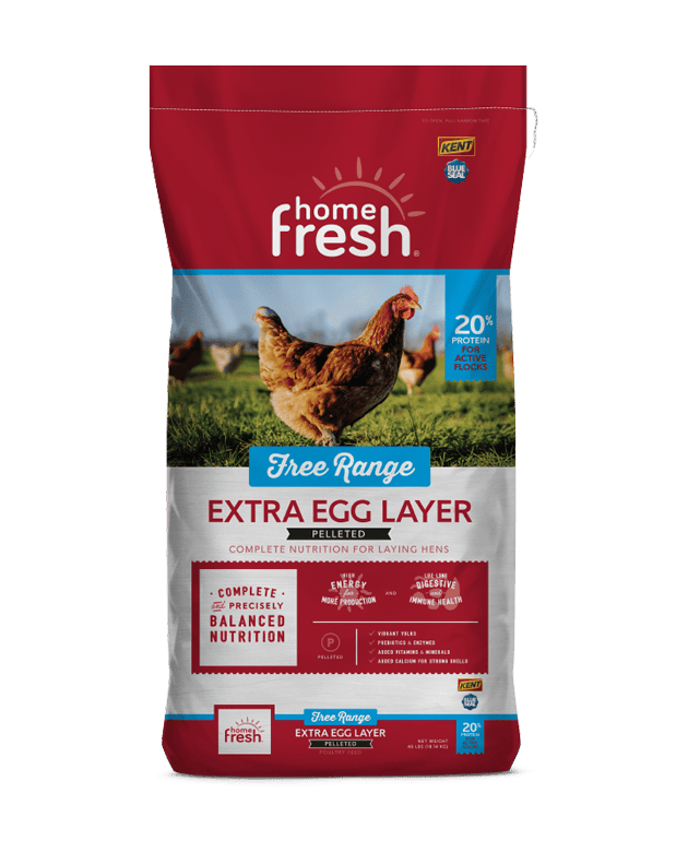 Home Fresh Extra Egg Layer Free Range Chicken Feed