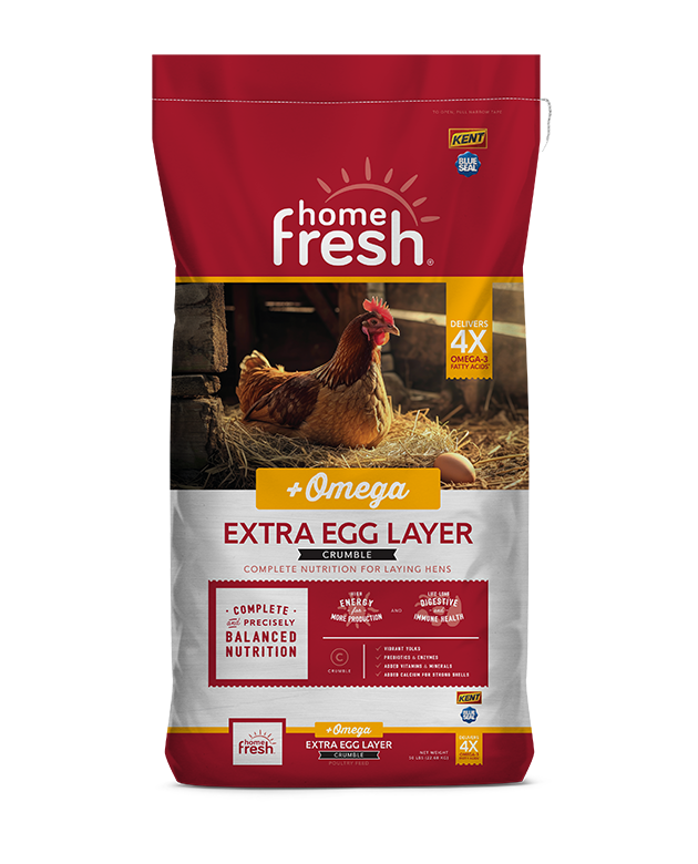 Home Fresh Extra Egg Layer Plus Omega Chicken Feed