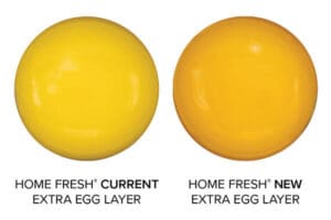 Home Fresh egg yolk color comparison