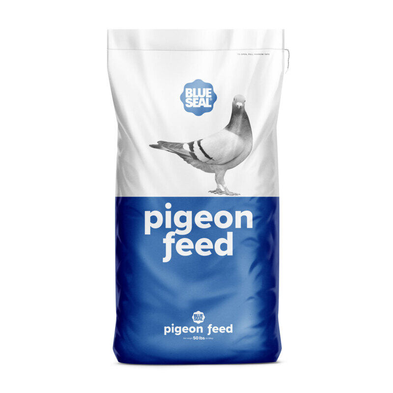 Pigeon Feed
