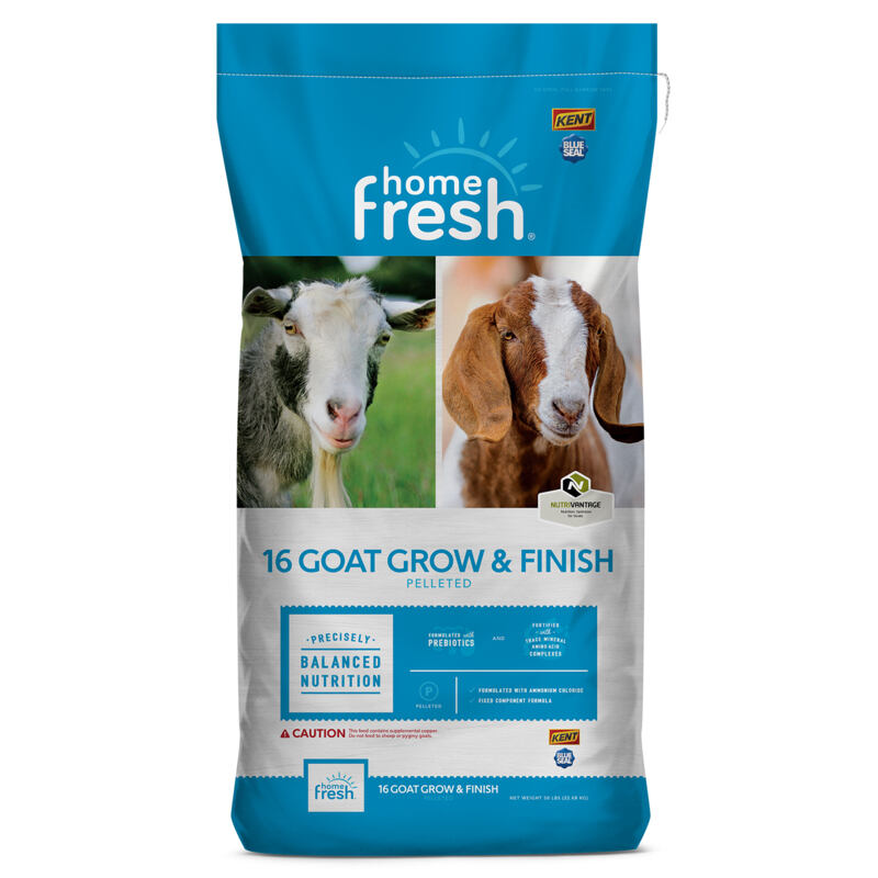 Home Fresh 16 Goat Grow & Finish