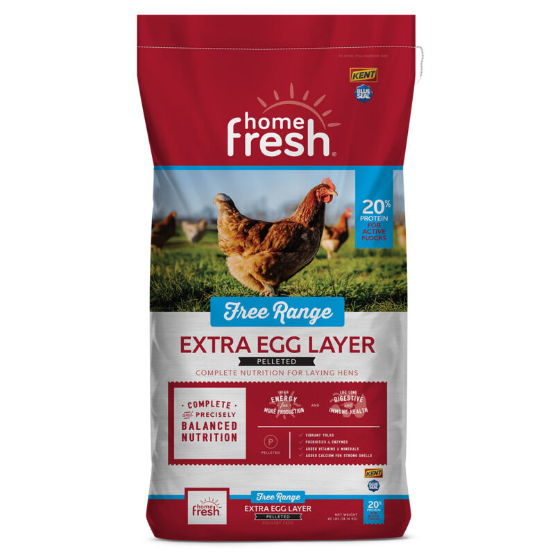 Home Fresh Extra Egg Layer Free Range