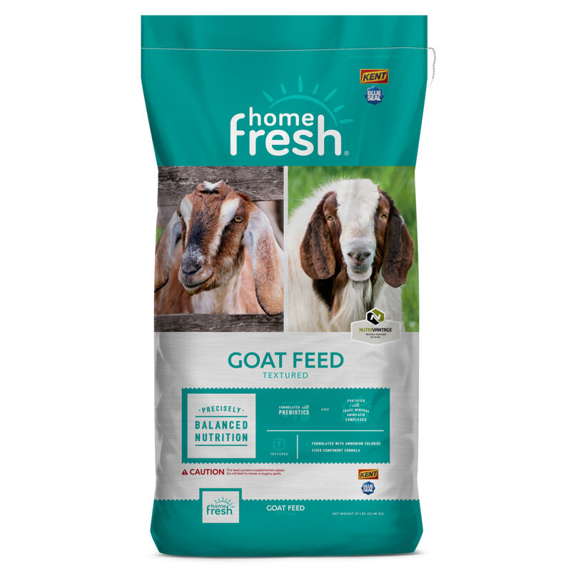 Home Fresh Goat Herd 18