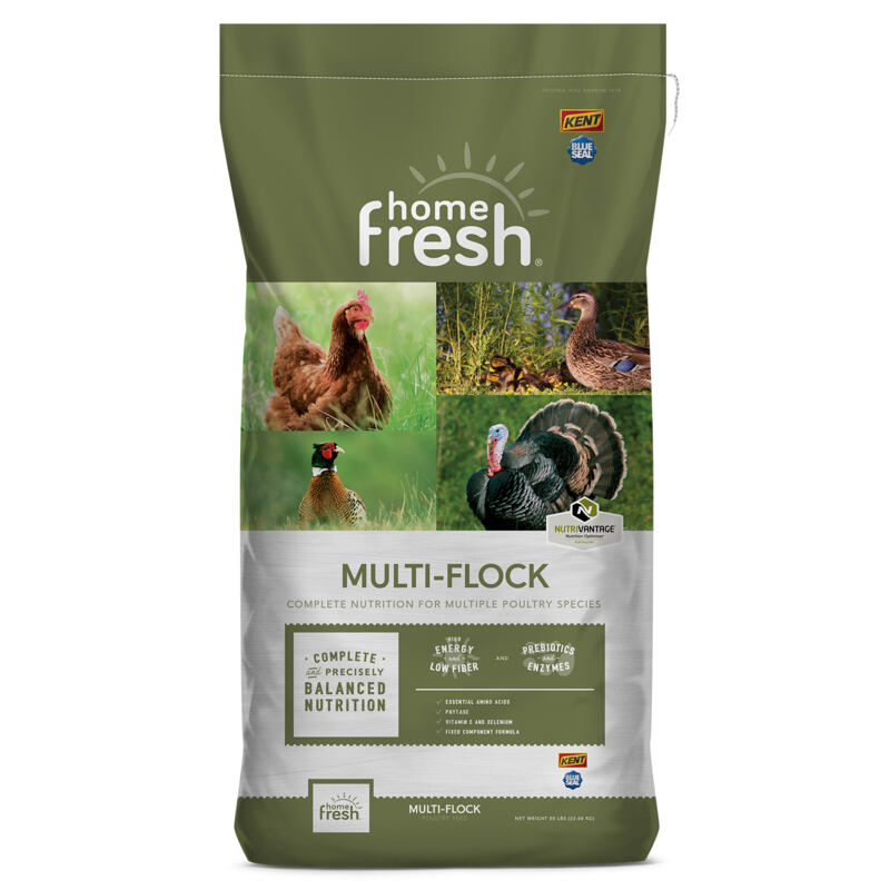 Home Fresh Multi-Flock Starter Crumbles AMP