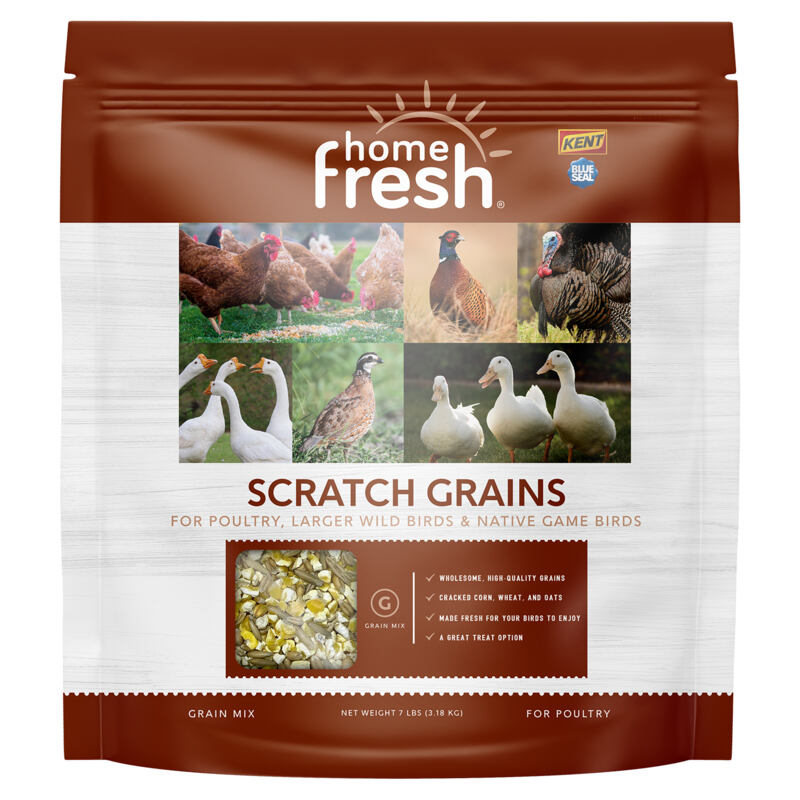 Home Fresh Scratch Grains