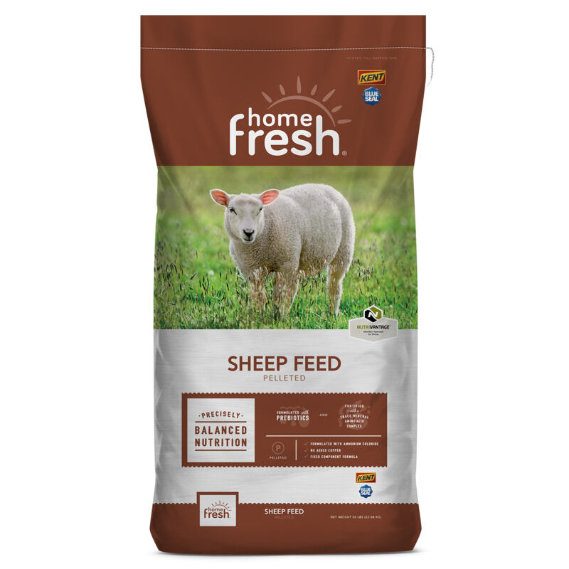 Home Fresh Shepherd 16