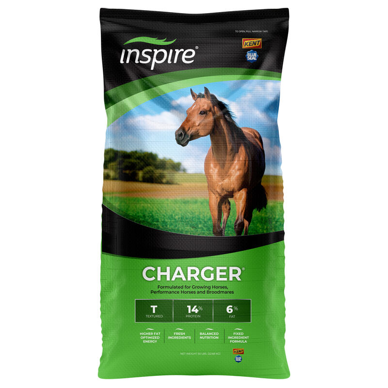 Inspire Charger