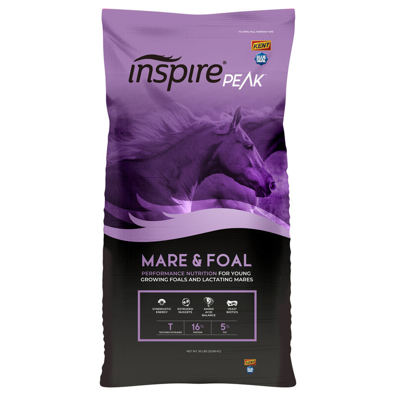 Inspire Peak Mare & Foal