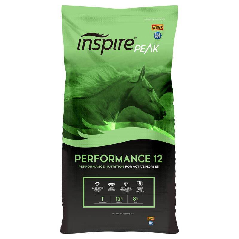Inspire Peak Performance 12 Textured