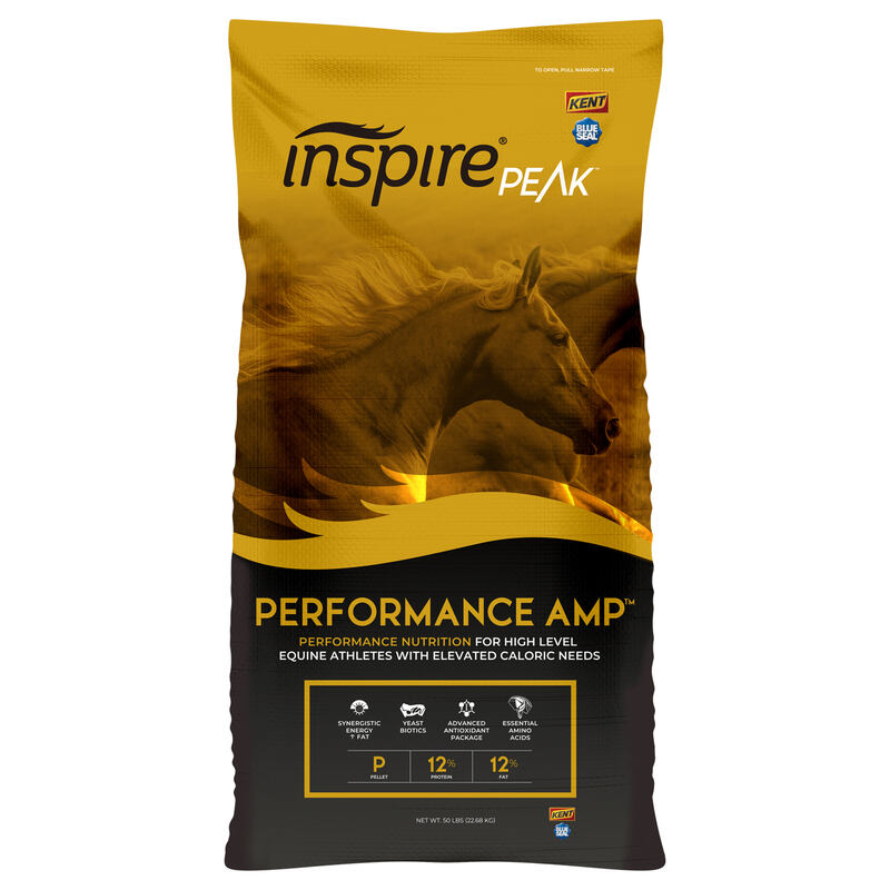 Inspire PEAK Performance Amp