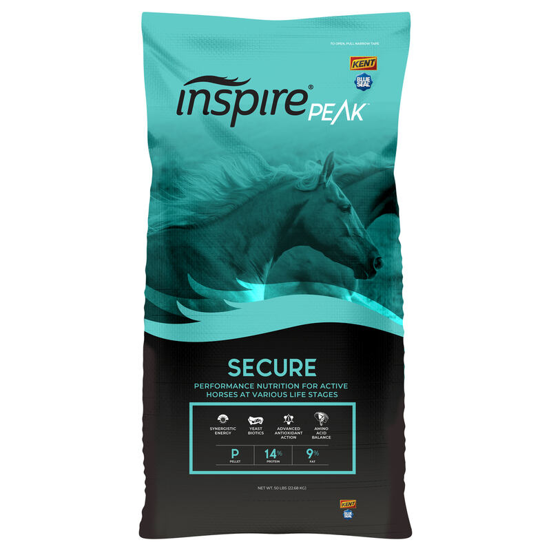 Inspire PEAK Secure
