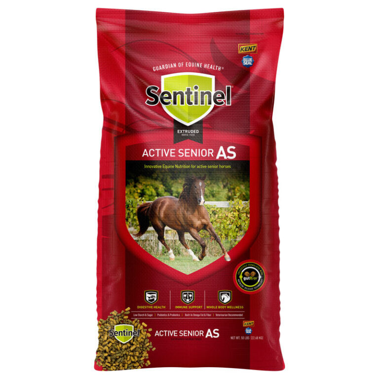 Best Feeds for Senior Horses Kent Feeds Blue Seal