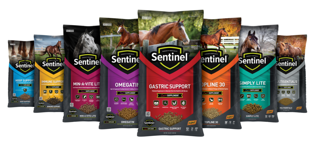 Sentinel Care Full Lineup of Horse products