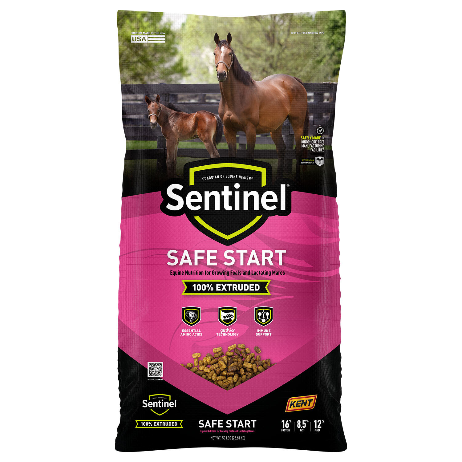 Sentinel Safe Start