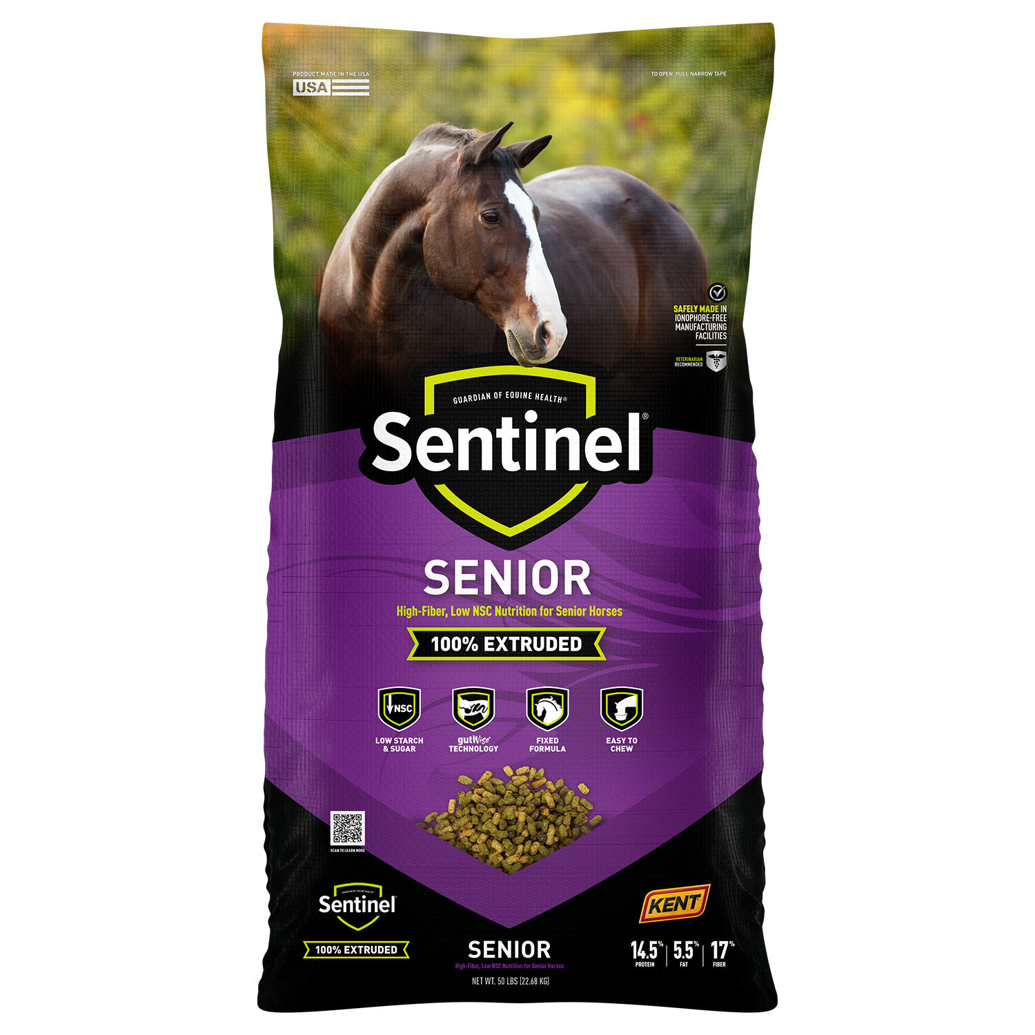 Sentinel Senior