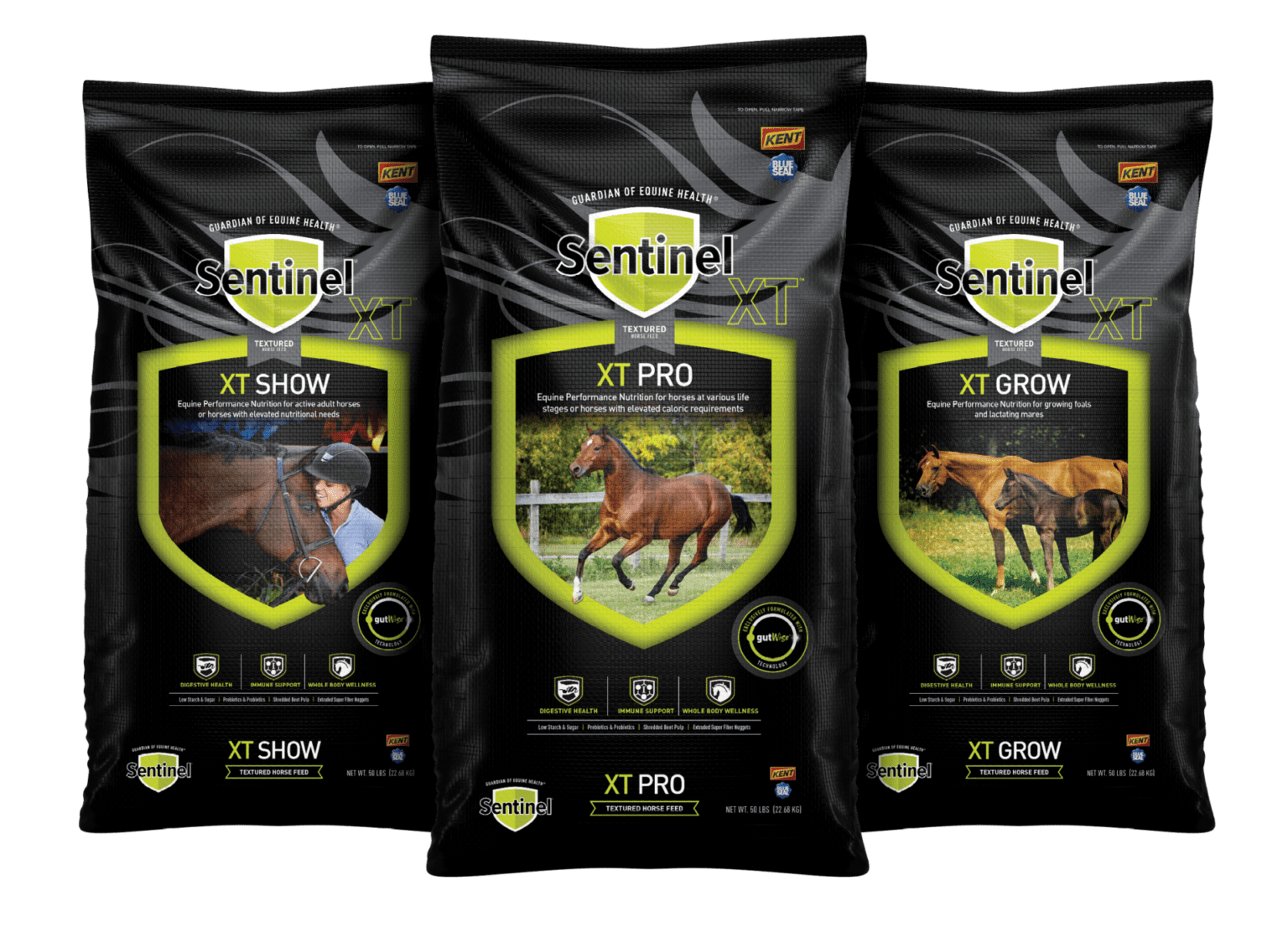 Sentinel XT Horse Feeds Kent Feeds Blue Seal