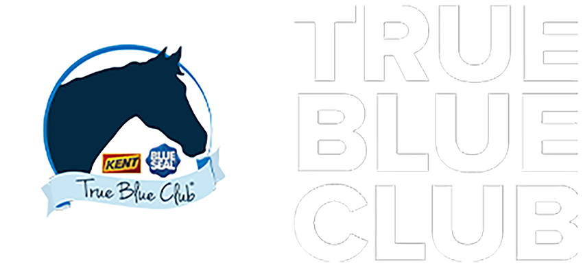True Blue Club