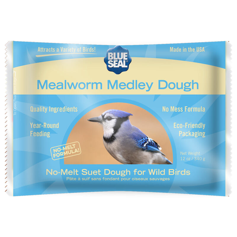 Mealworm Medley Suet Dough
