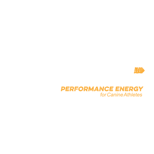 the Native logo