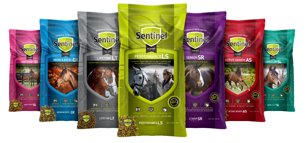 Sentinel Premium Horse Feed